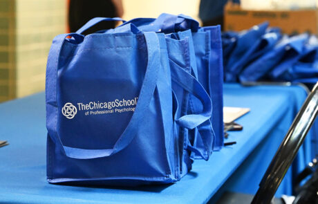 the chicago school blue carry tote